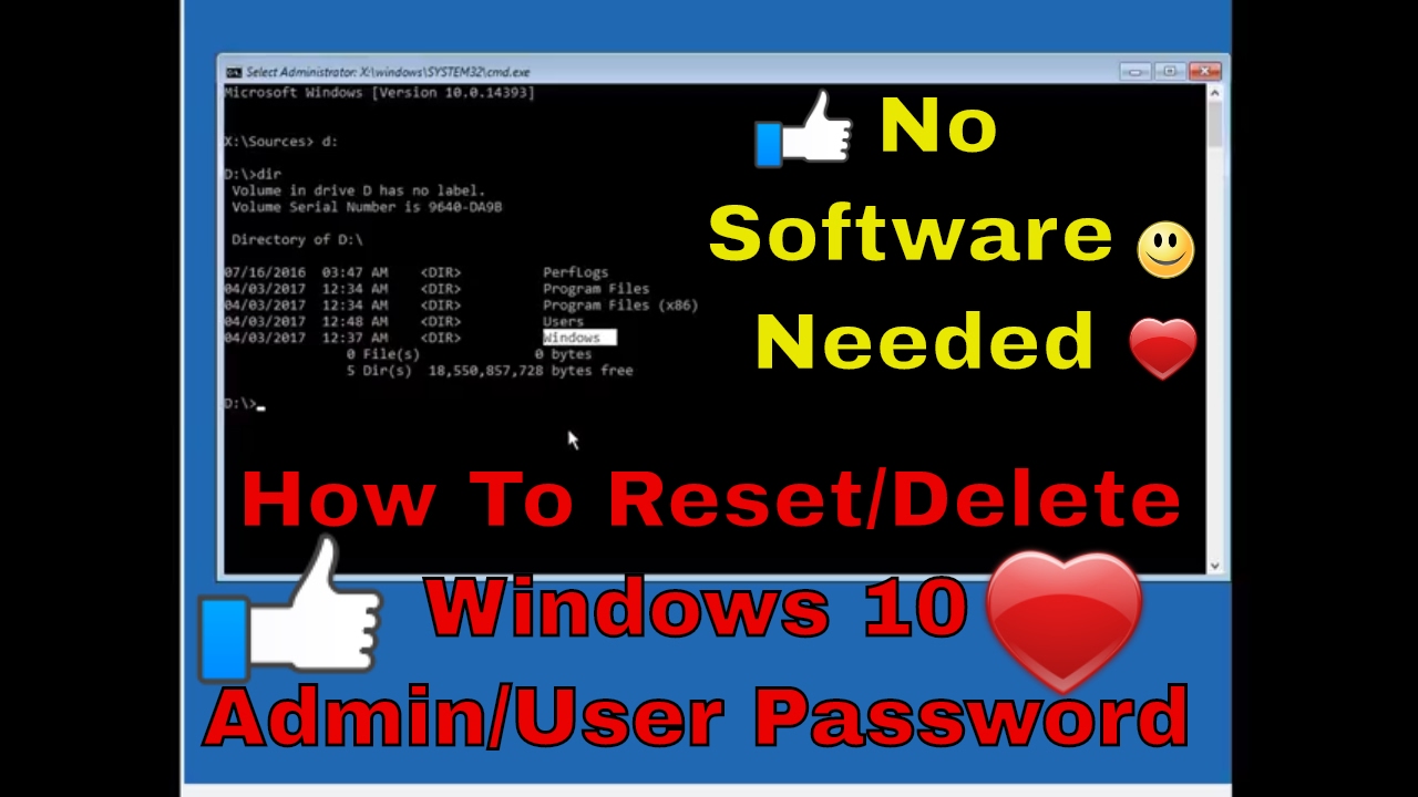 windows user password bypass